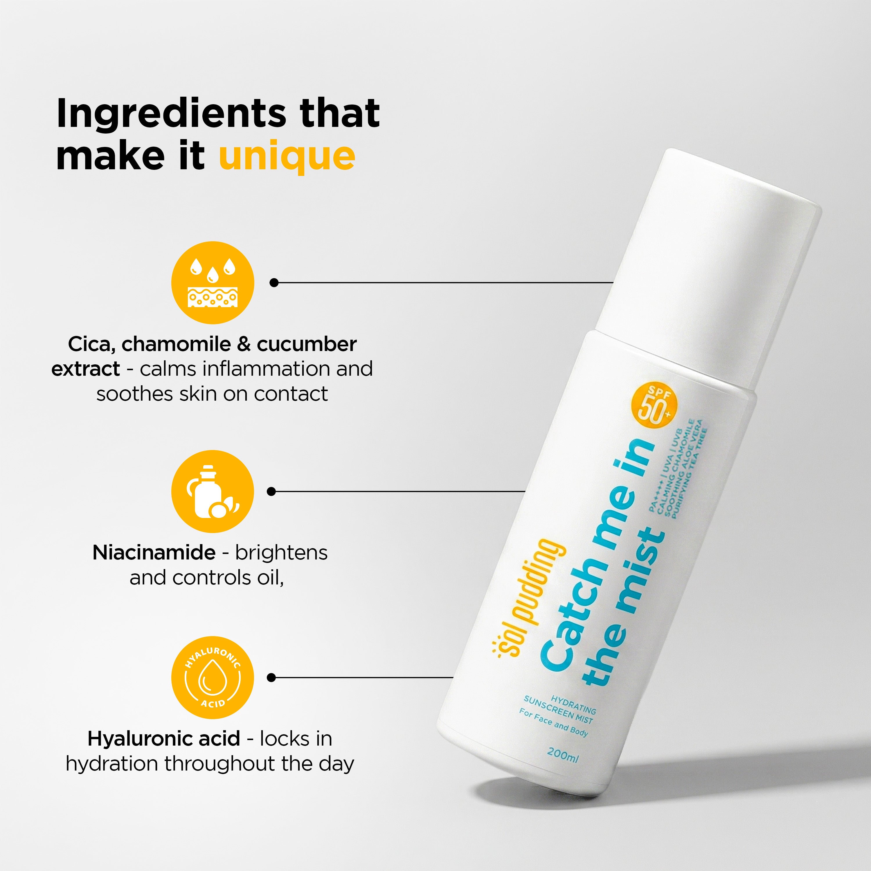 Catch Me In The Mist